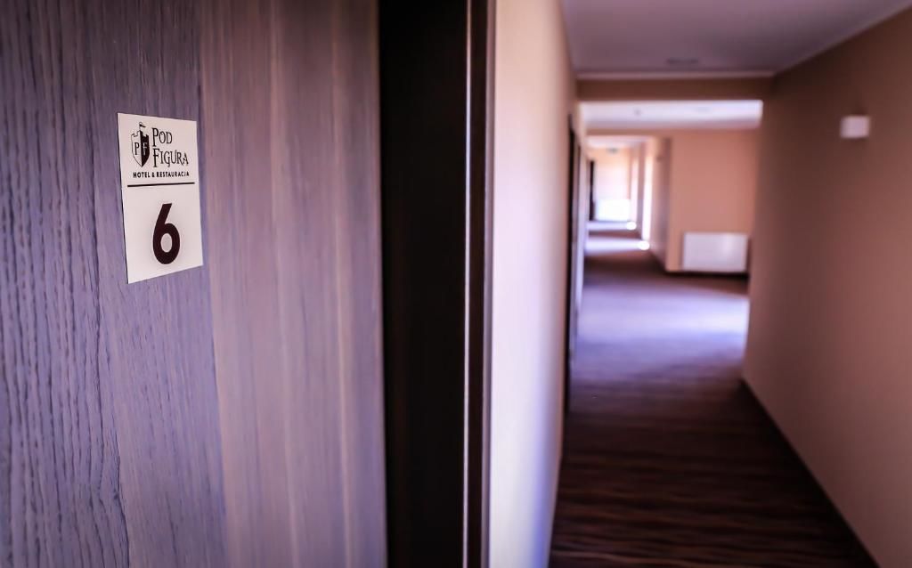 Отель Hotel Pod Figurą Огродзенец